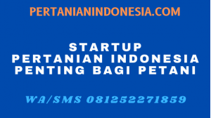 STARTUP PERTANIAN INDONESIA PENTING BAGI PETANI