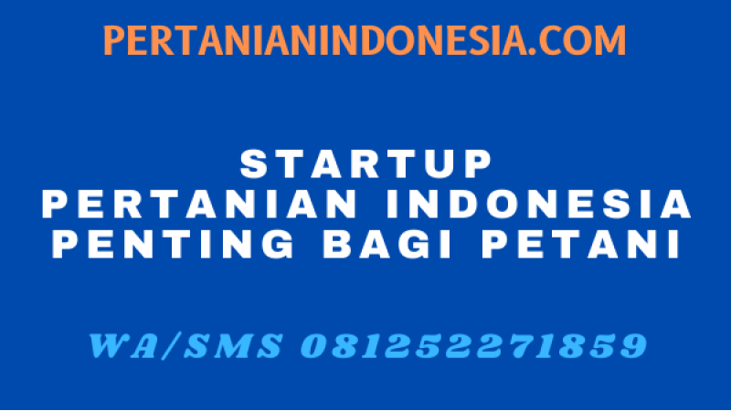 STARTUP PERTANIAN INDONESIA PENTING BAGI PETANI