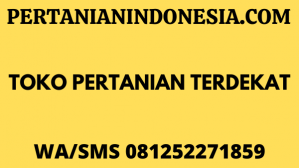 Toko Pertanian Terdekat Online Petani Mudah Di Akses Google