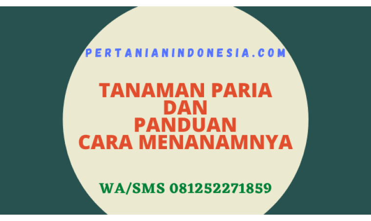 Tanaman Paria Dan Panduan Cara Menanamnya