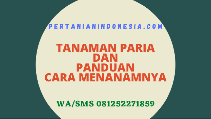 Tanaman Paria Dan Panduan Cara Menanamnya
