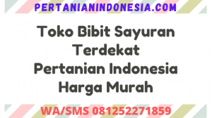 Toko Bibit Sayuran Terdekat Pertanian Indonesia Harga Murah
