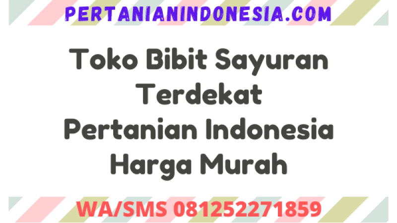 Toko Bibit Sayuran Terdekat Pertanian Indonesia Harga Murah