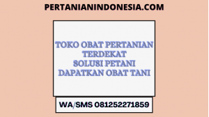 Toko Obat Pertanian Terdekat Solusi Petani Dapatkan Obat Tani
