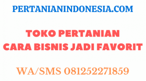 Toko Pertanian, Cara Bisnis Jadi Favorit