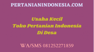 Usaha Kecil Toko Pertanian Indonesia Di Desa