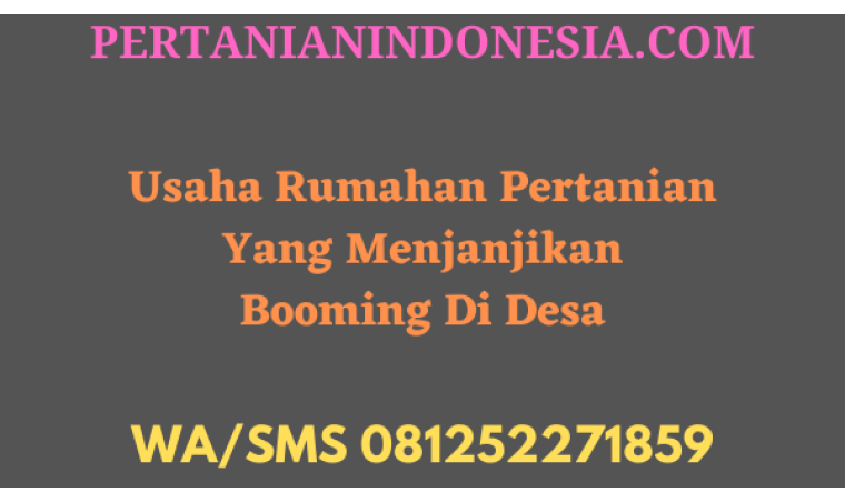 Usaha Rumahan Pertanian Yang Menjanjikan Booming Di Desa