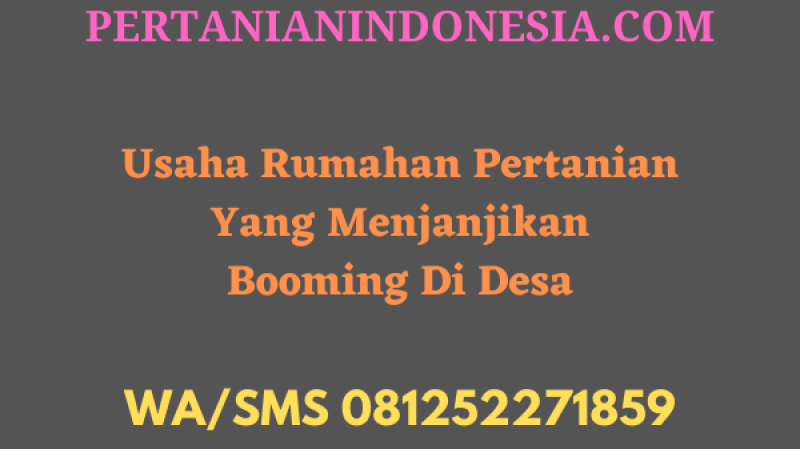 Usaha Rumahan Pertanian Yang Menjanjikan Booming Di Desa