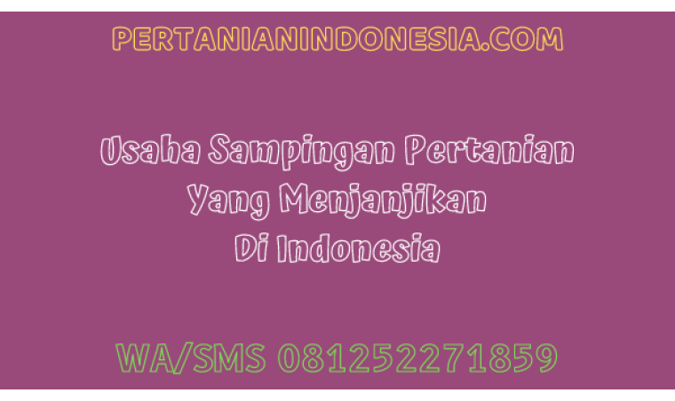 Usaha Sampingan Pertanian Yang Menjanjikan Di Indonesia