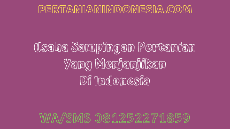 Usaha Sampingan Pertanian Yang Menjanjikan Di Indonesia