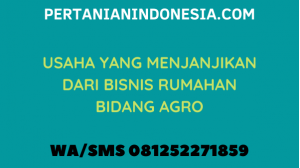 USAHA YANG MENJANJIKAN DARI BISNIS RUMAHAN BIDANG AGRO
