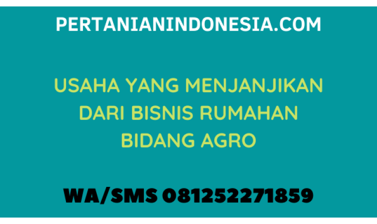 USAHA YANG MENJANJIKAN DARI BISNIS RUMAHAN BIDANG AGRO