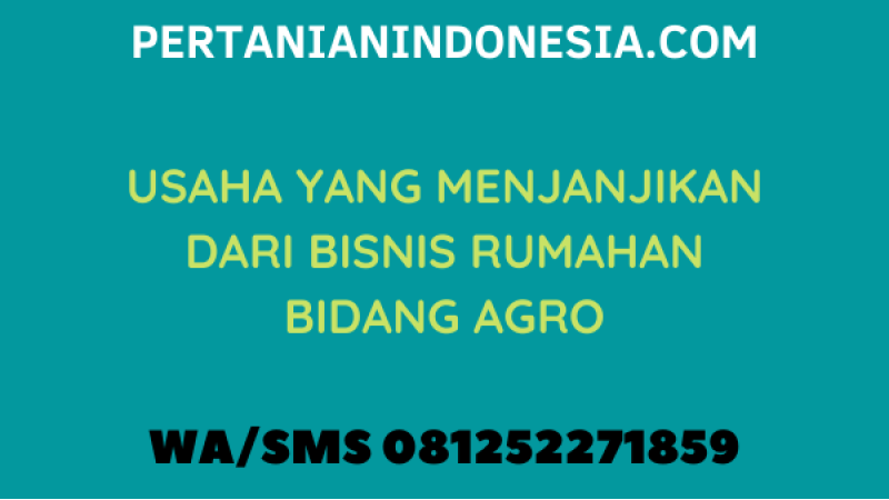 USAHA YANG MENJANJIKAN DARI BISNIS RUMAHAN BIDANG AGRO