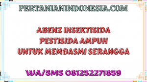 Abenz Insektisida Pestisida Ampuh Untuk Membasmi Serangga