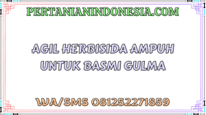 Agil Herbisida Ampuh Untuk Basmi Gulma