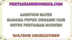 Ambition Bayer Rahasia Pupuk Organik Cair Untuk Pertanian Modern