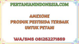 Amexone Produk Pestisida Terbaik Untuk Petani