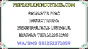 Ammate FMC Insektisida Berkualitas Unggul Harga Terjangkau