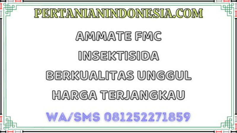 Ammate FMC Insektisida Berkualitas Unggul Harga Terjangkau