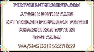 Atonik Untuk Cabe ZPT Terbaik Pemudah Petani Memberikan Nutrisi Bagi Cabai