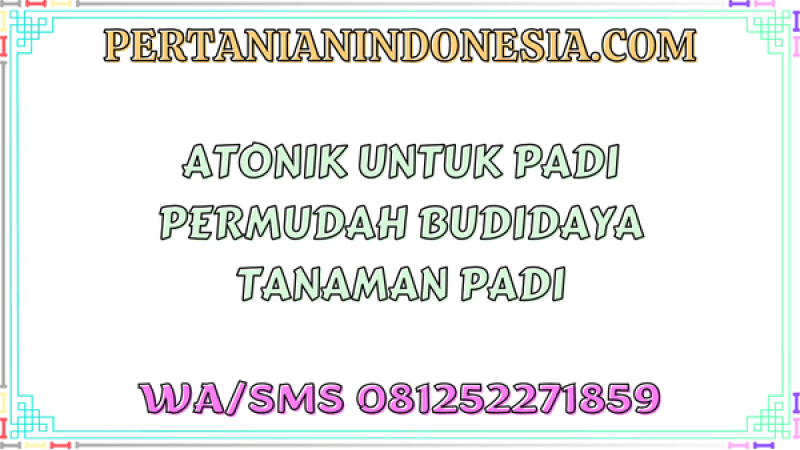 Atonik Untuk Padi Permudah Budidaya Tanaman Padi