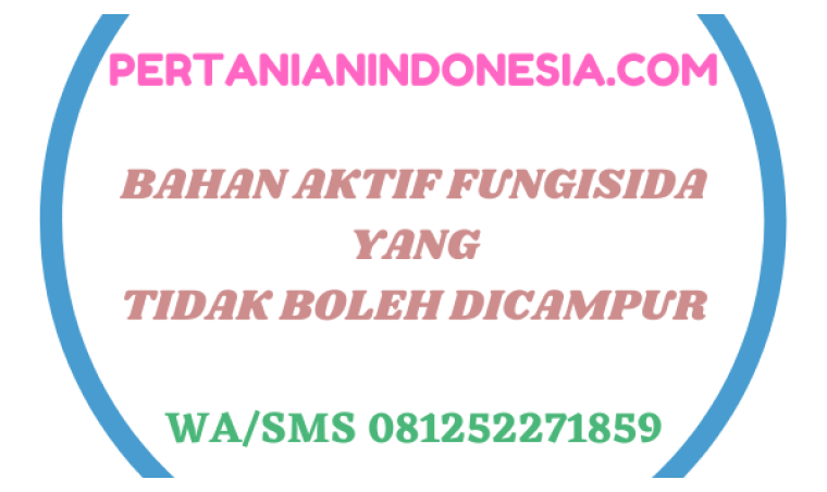 Bahan Aktif Fungisida Yang Tidak Boleh Dicampur