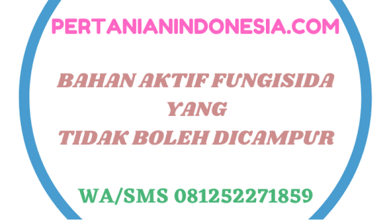 Bahan Aktif Fungisida Yang Tidak Boleh Dicampur