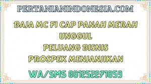 Baja MC F1 Cap Panah Merah Unggul Peluang Bisnis Prospek Menjanjikan