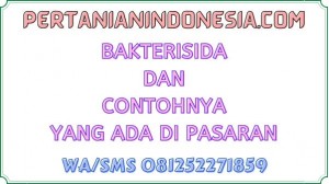 Bakterisida Dan Contohnya Yang Ada Di Pasaran