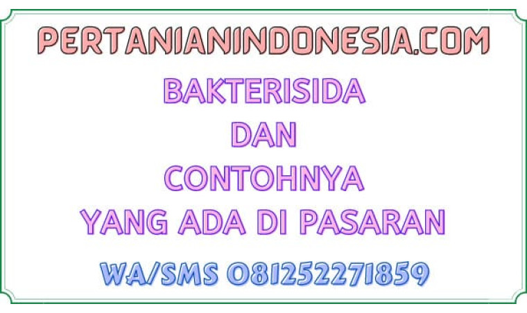 Bakterisida Dan Contohnya Yang Ada Di Pasaran