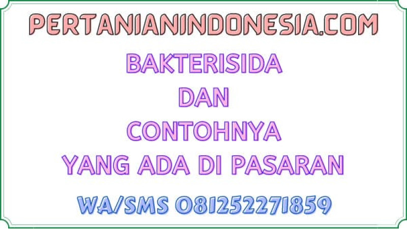 Bakterisida Dan Contohnya Yang Ada Di Pasaran