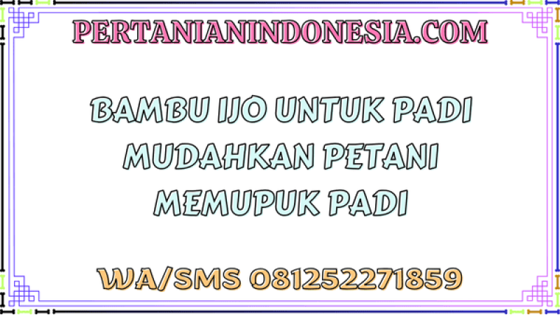 Bambu Ijo Untuk Padi Mudahkan Petani Memupuk Padi