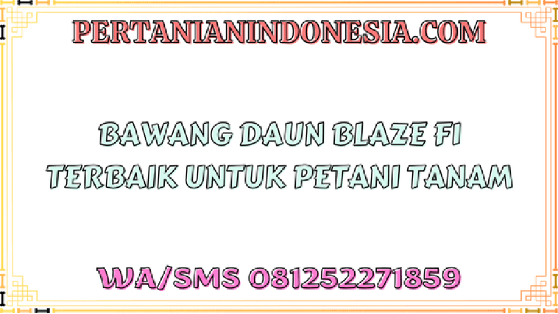 Bawang Daun Blaze F1 Terbaik Untuk Petani Tanam