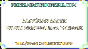Bayfolan Bayer Pupuk Berkualitas Terbaik