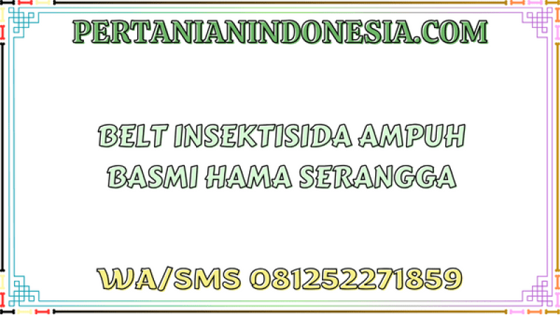 Belt Insektisida Ampuh Basmi Hama Serangga