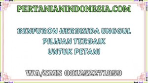 Benfuron Herbisida Unggul Pilihan Terbaik Untuk Petani
