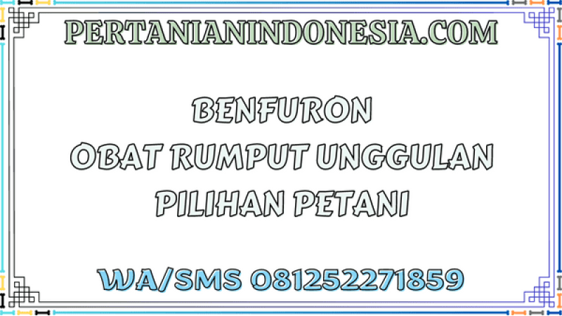 Benfuron Obat Rumput Unggulan Pilihan Petani