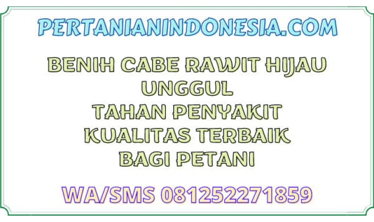 Benih Cabe Rawit Hijau Unggul Tahan Penyakit Kualitas Terbaik Bagi Petani