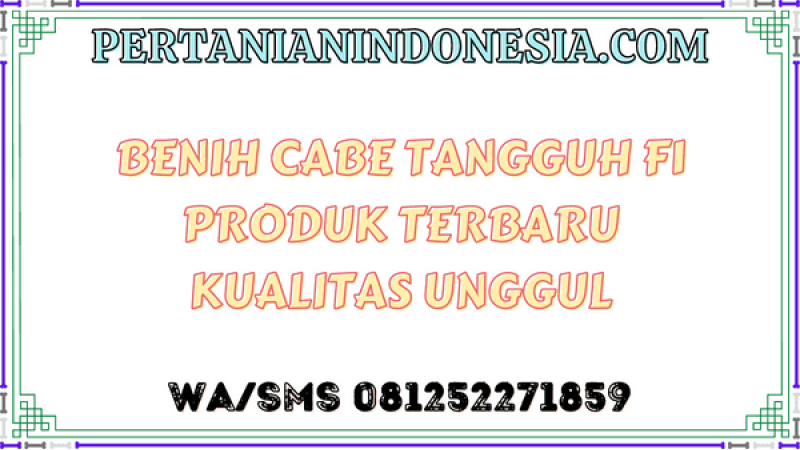 Benih Cabe Tangguh F1 Produk Terbaru Kualitas Unggul