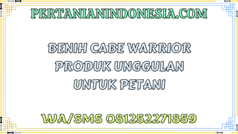 Benih Cabe Warrior Produk Unggulan Untuk Petani