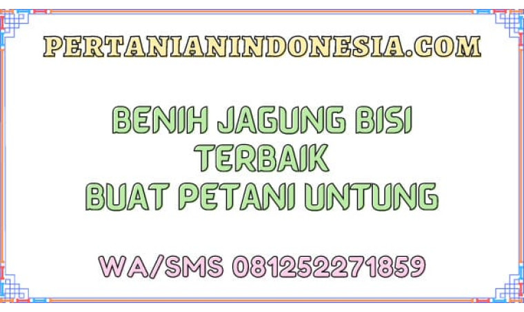 Benih Jagung Bisi Terbaik Buat Petani Untung