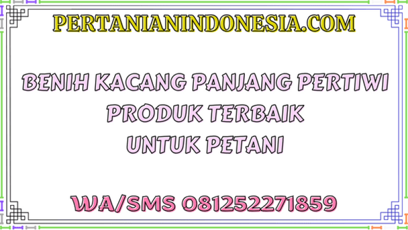 Benih Kacang Panjang Pertiwi Produk Terbaik Untuk Petani