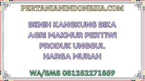 Benih Kangkung Bika Agri Makmur Pertiwi Produk Unggul Harga Murah