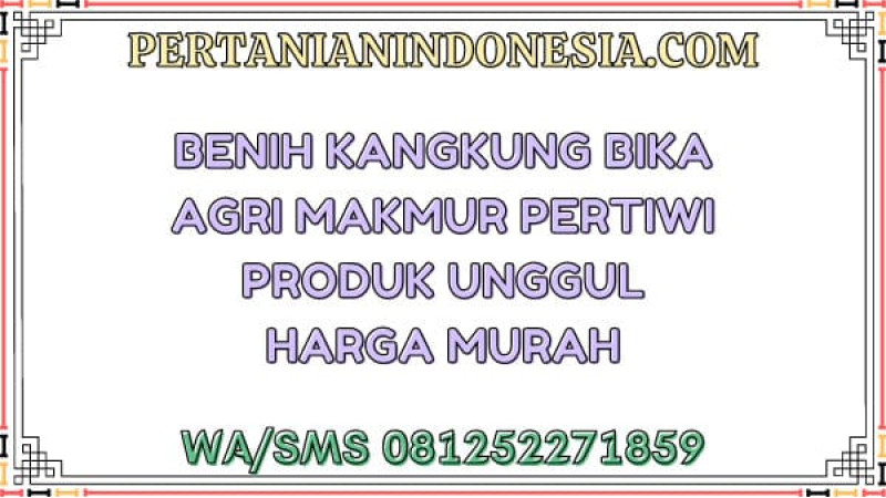 Benih Kangkung Bika Agri Makmur Pertiwi Produk Unggul Harga Murah