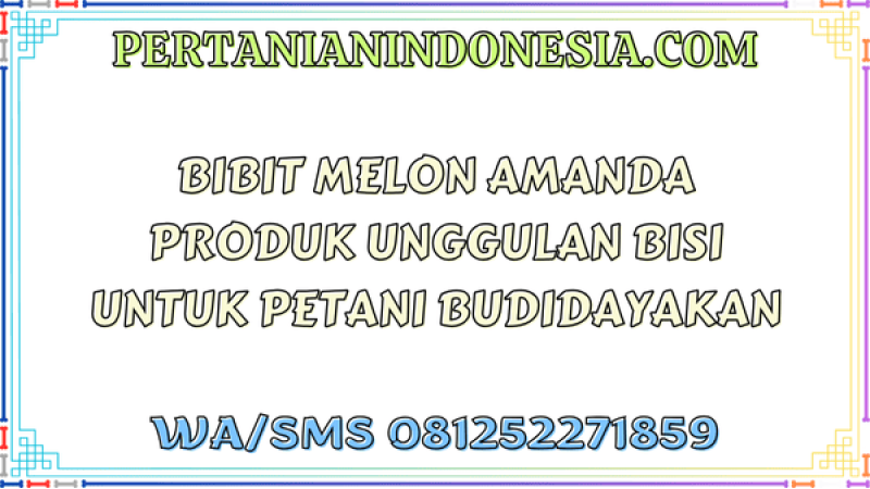 Bibit Melon Amanda Produk Unggulan Bisi Untuk Petani Budidayakan