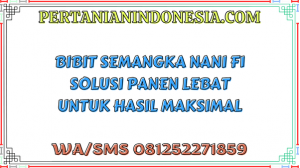 Bibit Semangka Nani F1 Solusi Panen Lebat Untuk Hasil Maksimal