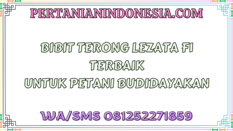 Bibit Terong Lezata F1 Terbaik Untuk Petani Budidayakan