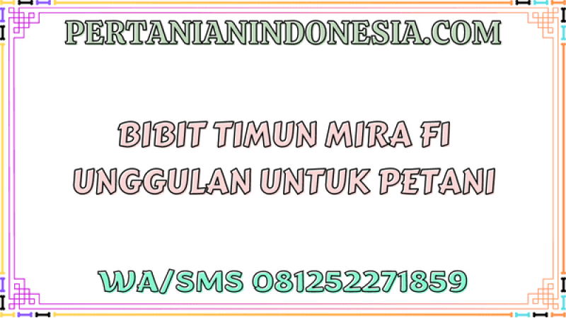 Bibit Timun Mira F1 Unggulan Untuk Petani