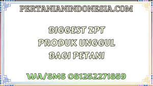 Biggest ZPT Produk Unggul Bagi Petani
