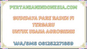 Budidaya Pare Raden F1 Terbaru Untuk Usaha Agrobisnis